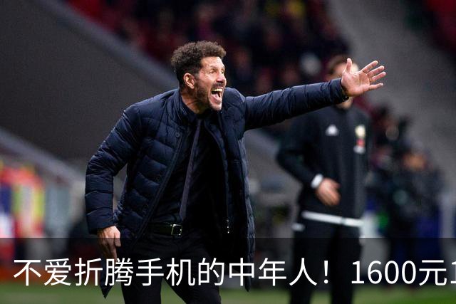 不爱折腾手机的中年人！1600元16+512首选这3台，耐用流畅